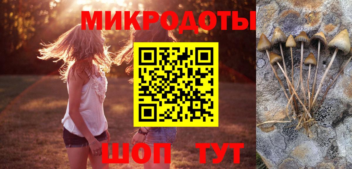 Сосновоборск  Псилоцибиновые грибы Cubensis  Вход с VPN  Галлюциногенные грибы ЛСД 